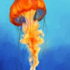 Meet your Posher, Gabe